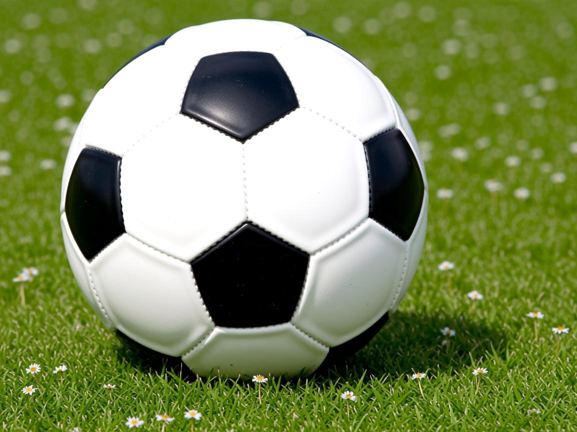 od体育官方入口-中国三人女篮注重心理建设 提升比赛稳定性，中国三人女子篮球队