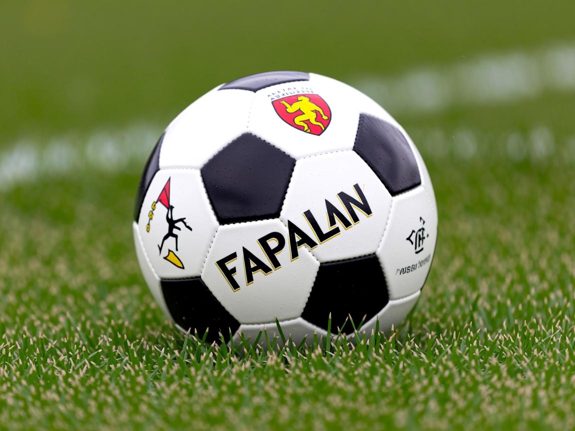 od体育网址-波兰队未来发展规划:如何通过多元化训练提升队员整体能力,波兰球队强吗 第3张