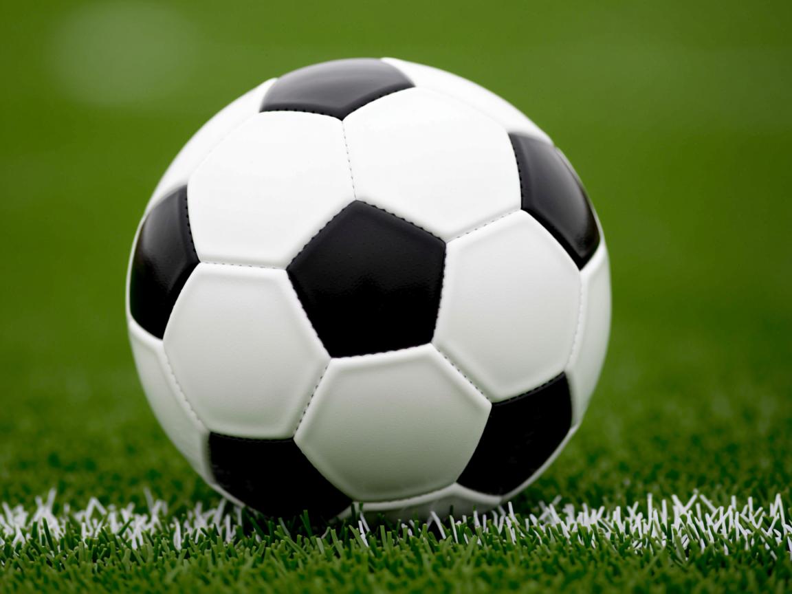 od体育官方平台入口-球员海外集训模式回归有待评估成效，海外球员百度贴吧